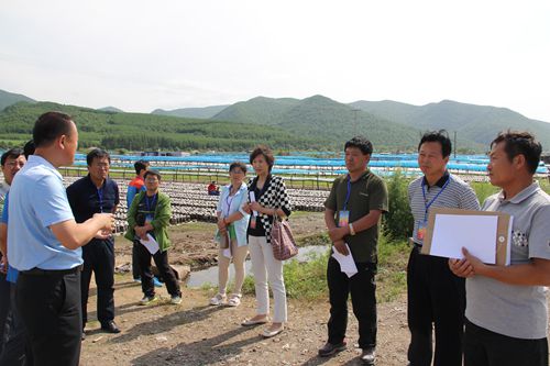 QQ图片20150630093103.jpg