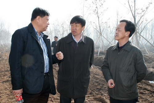 考察外埠绿化大苗基地.JPG