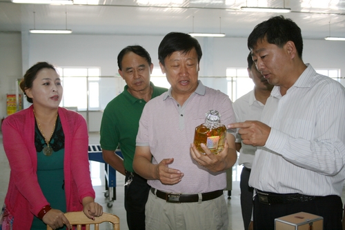 在龙井东方酒业调研年产1000吨高档酒酿制建设项目.JPG